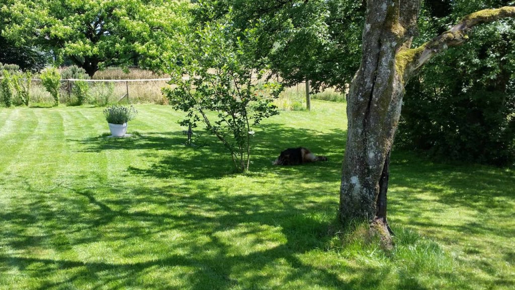 Aussruhen im Aussenbereich