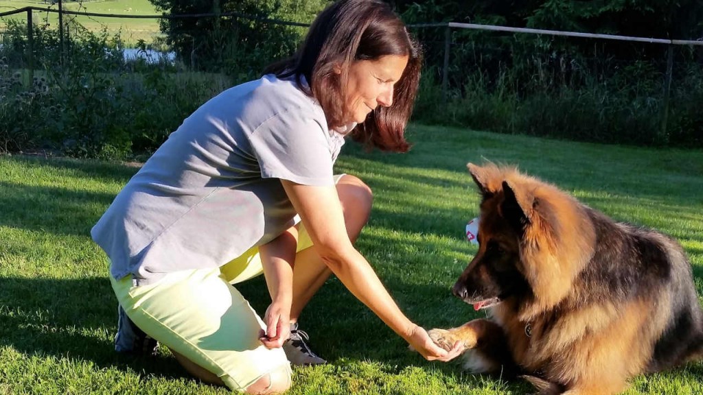 Dog5 Spiel und Spass