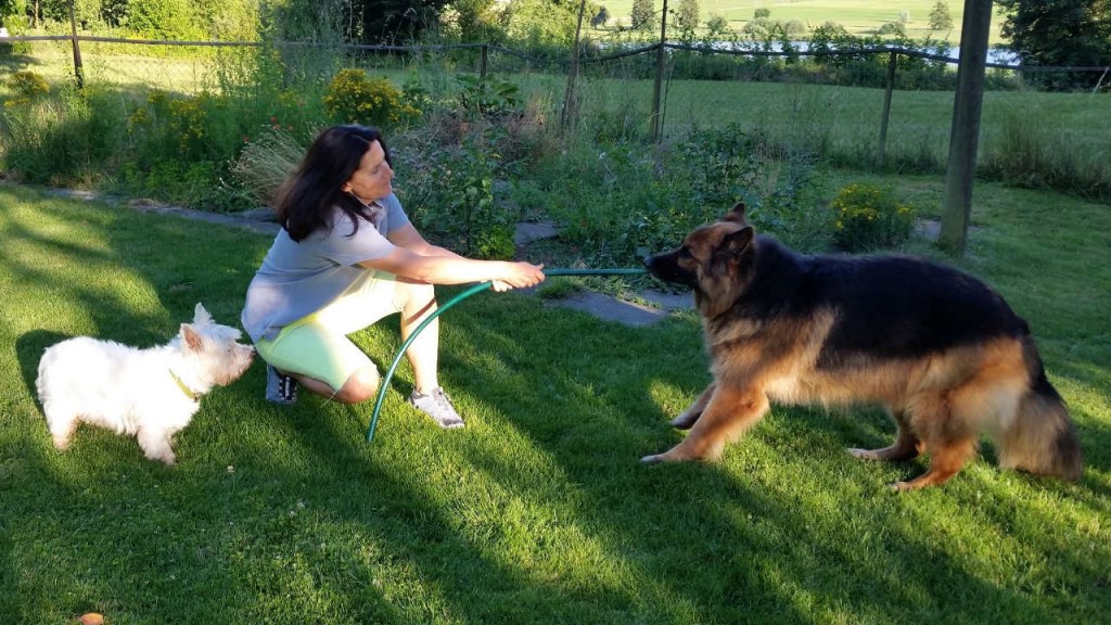 Spiel und Unterhaltung