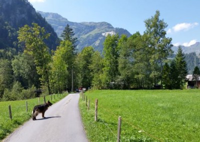 hundeausflug_20180821_123122