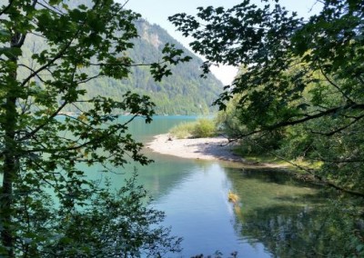 hundeausflug_20180821_130118