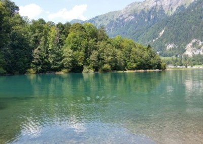 hundeausflug_20180821_130346