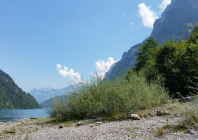 hundeausflug_20180821_132435