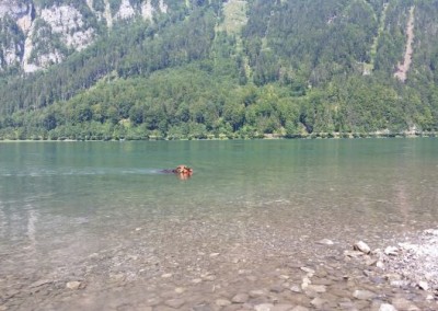 hundeausflug_20180821_135556