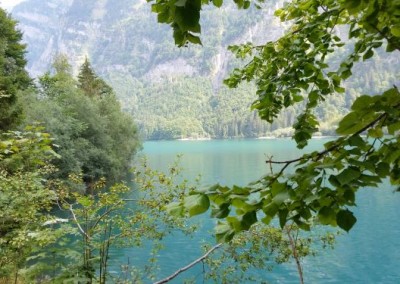 hundeausflug_20180821_160617